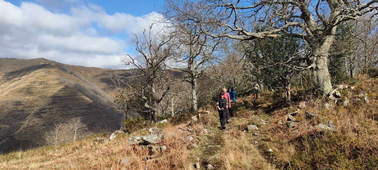 WhatsApp Image 2026-03-08 at 21.27.48